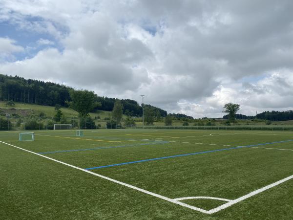 Sportanlage Moos Platz 2 - Wettswil am Albis