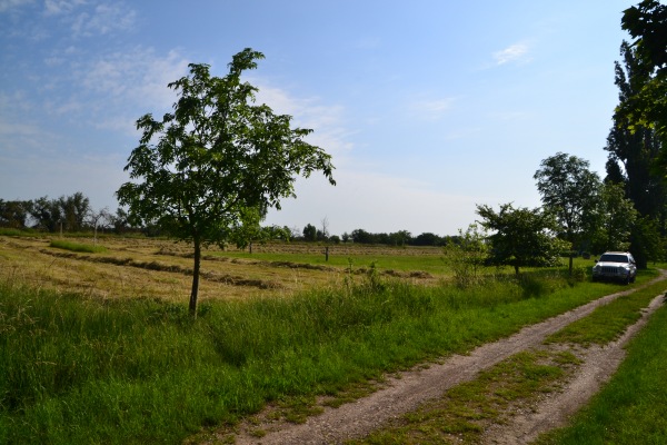 Sportplatz Zabitz - Osternienburger Land-Zabitz