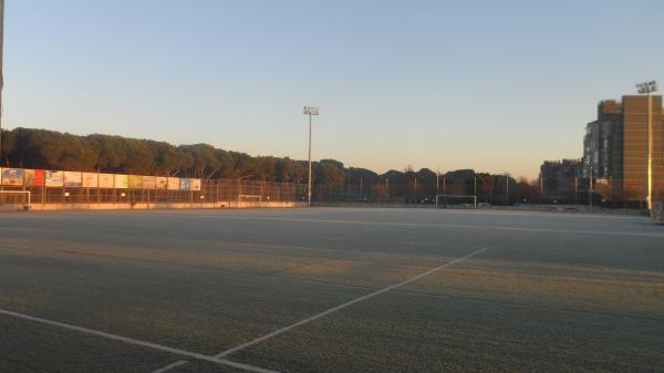 Campo de Fútbol Piqueñas - Madrid, MD