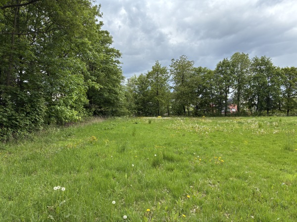 Sportplatz Altweilnau - Weilrod-Altweilnau