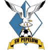 Wappen SV Pepelow 1993  48560