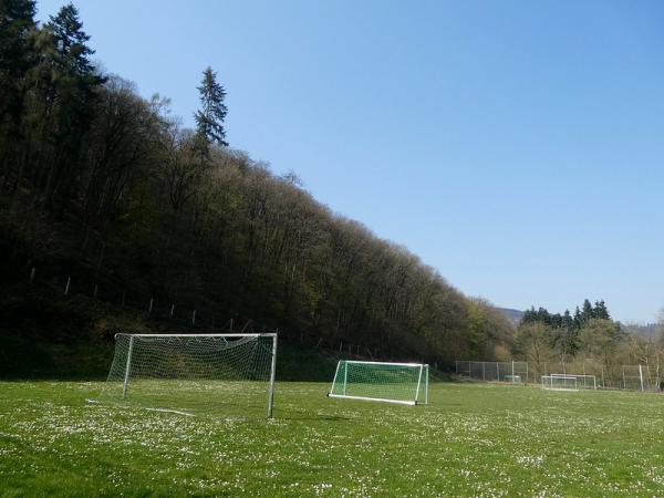 Sportplatz Waldstraße  - Andernach-Namedy