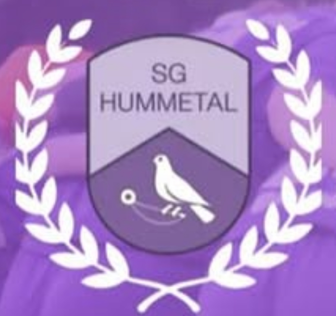 Wappen SG Hummetal - Frauen (Ground A)