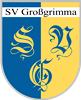 Wappen SV Großgrimma 1921 diverse