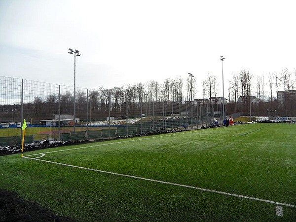 Voith-Arena Kunstrasen-West - Heidenheim/Brenz