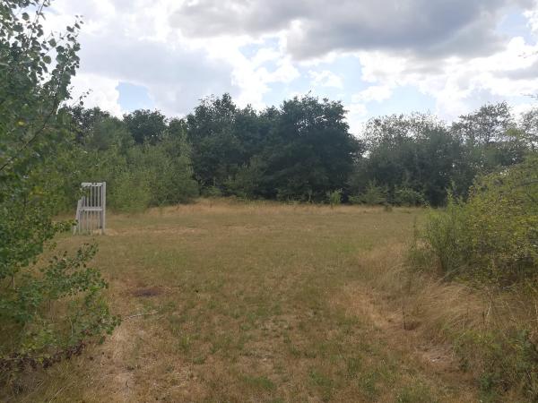 ASV-Sportplatz - Hettenleidelheim