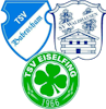 Wappen SG Babensham/Waldhausen/Eiselfing II - Frauen
