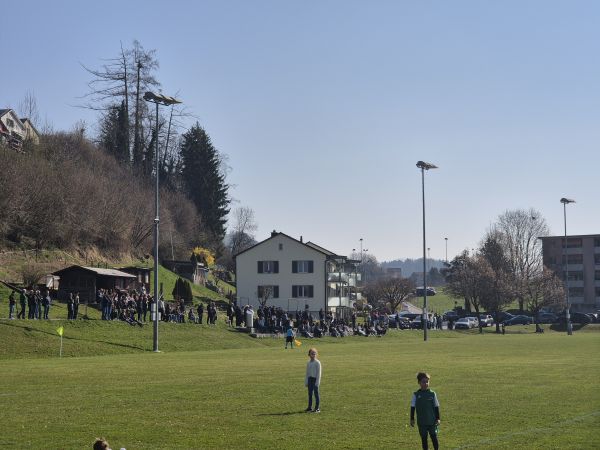 Sportplatz Laupenstrasse - Wald ZH