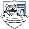 Wappen SG Horsmar/Bollstedt II (Ground B)  69486