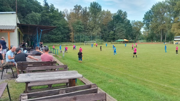 Hřiště FK Slavoj Lázně Toušeň - Lázně Toušeň