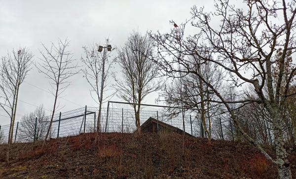 Sportanlage Mühlweg Platz 2 - Wimsheim