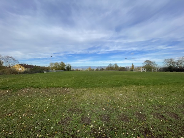 Sportgelände Egerländer Straße Platz 2 - Kitzingen-Siedlung