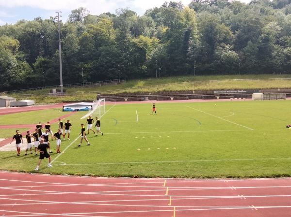 The Withdean Stadium - Brighton & Hove, East Sussex