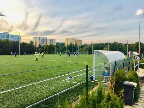 Hřiště s umělým povrchem v Řečkovicích - Brno-Řečkovice a Mokrá Hora