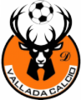 Wappen Calcio Vallada   132374