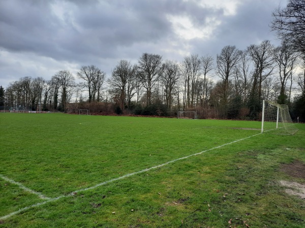 Sportpark Actief veld 3 - Tynaarlo-Eelde