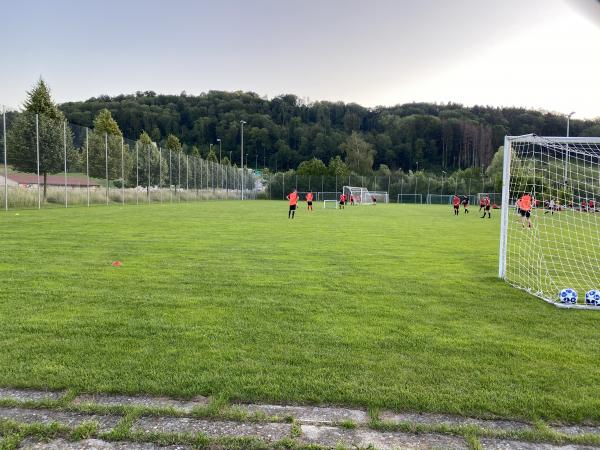 Sportanlage Moos Platz 3 - Wettswil am Albis