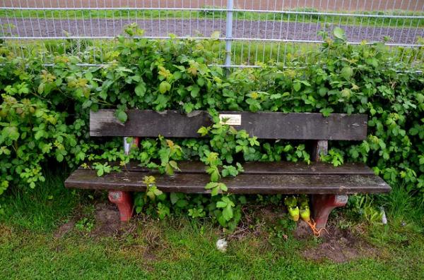 Sportplatz Elisabethenweg - Erftstadt-Blessem