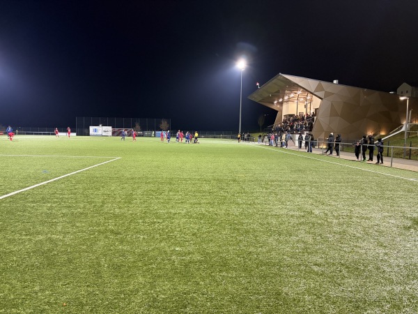 Terrain In Bertzent - Nidderfeelen (Niederfeulen)