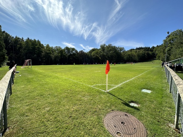 Terrain Chanoz-Brocard - Lutry