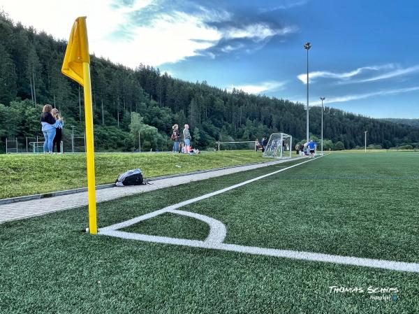 Sportanlage Donauwiesen Platz 2 - Tuttlingen-Möhringen