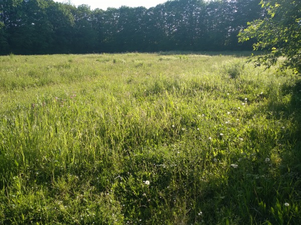 Sportplatz Ramsiekquelle - Bad Oeynhausen-Oberbecksen