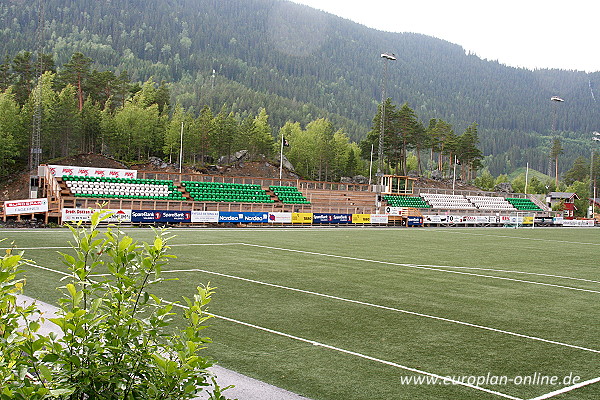 Blåbærmyra kunstgress  - Fagernes/Nord Aurdal 