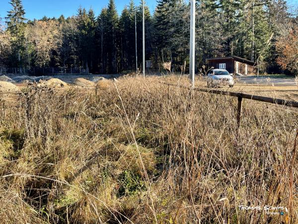 Sportplatz Eichenwasen - Denkingen