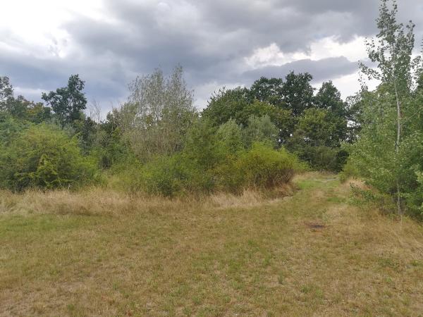 ASV-Sportplatz - Hettenleidelheim