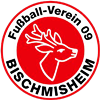 Wappen FV 09 Bischmisheim  25733