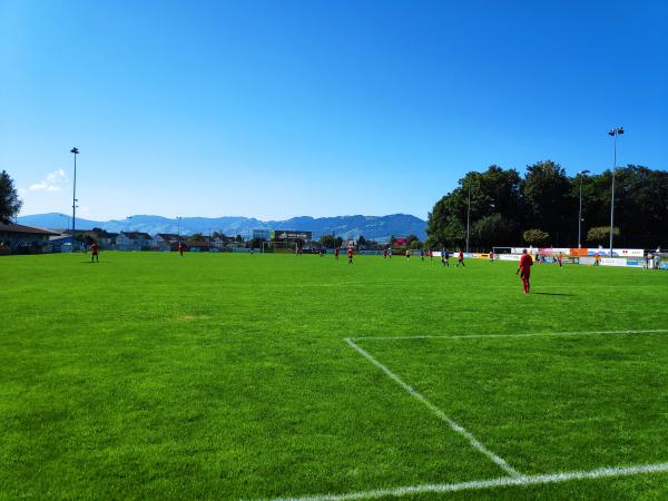 Sportplatz Rheinauen - Diepoldsau