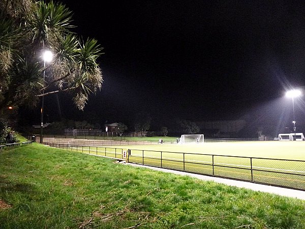 Michaels Ave Reserve - Ellerslie, Auckland 