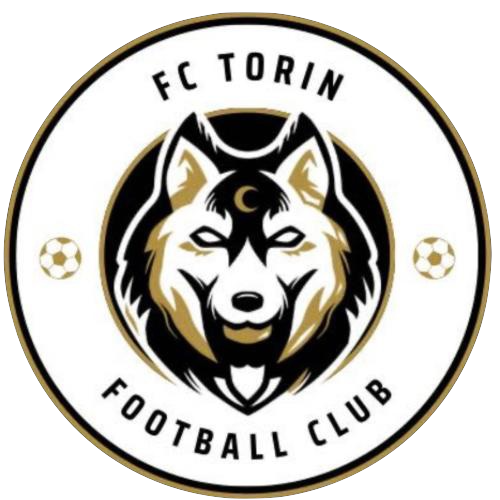Wappen FC Torin