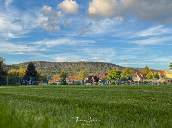 Sportplatz an der Hörselberghalle - Wutha-Farnroda