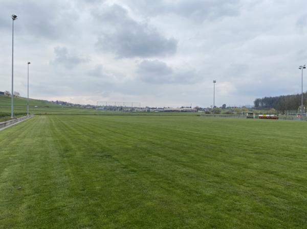 Sportplatz Bühlmoos Nebenplatz - Sarmenstorf