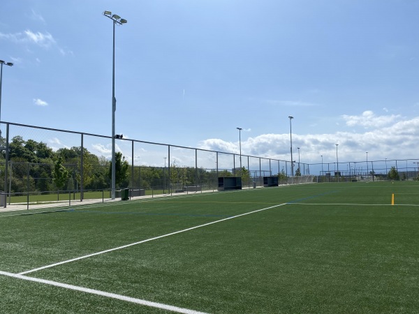 Centre Sportif de la Tuilière terrain 8 - Lausanne