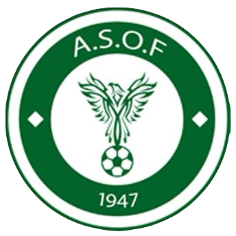 Wappen AS Outreau Football