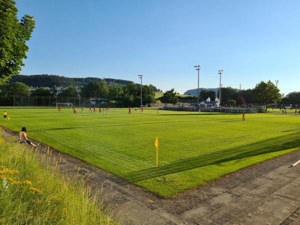 Lidl Sportpark Bergholz Platz 1 - Wil SG