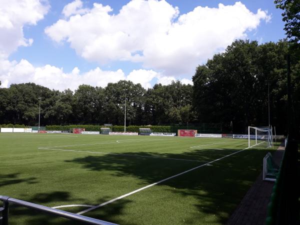 Ernsting's Family Sportpark Platz 2 - Coesfeld-Lette