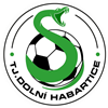 Wappen TJ Dolní Habartice 