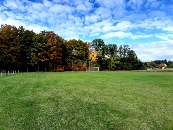 Hřiště TJ Svornost Hvozd - Dražen-Bažantnice