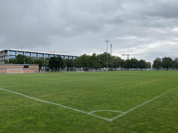 Sportanlage Bachgraben Platz 3 - Allschwil