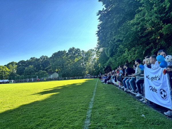 Waldstadion Auf dem Borgkamp - Oelde-Stromberg