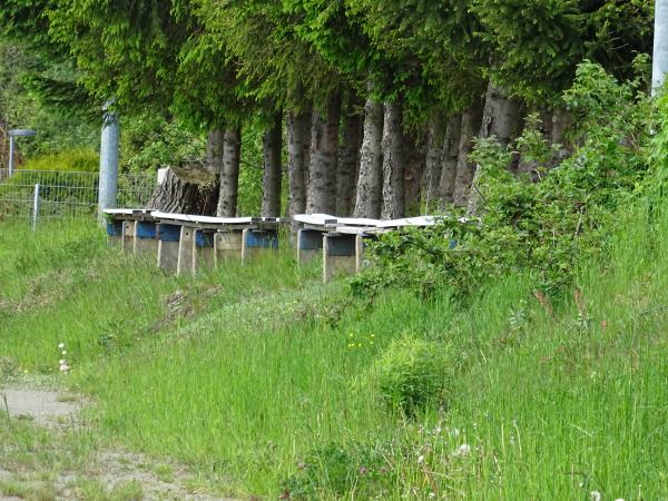 Sportanlage im Arbeiterweg Platz 2 - Zschorlau
