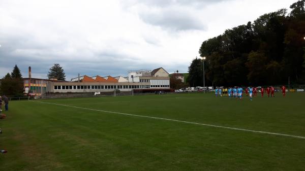 Sportplatz Heusser-Staub-Wiese - Uster