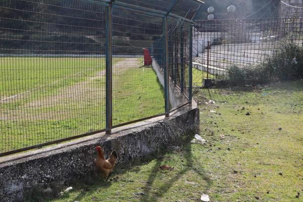 Stadiumi Sabaudin Shehu  - Tepelenë