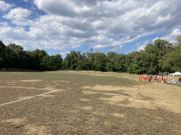 Sportplatz an der Kiesgrube - Eimeldingen