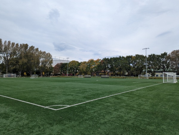 Logan Park Field A1 - Dunedin