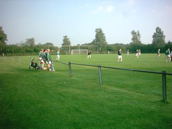 Sportpark De Molendijk veld 4 - Dinkelland-Denekamp