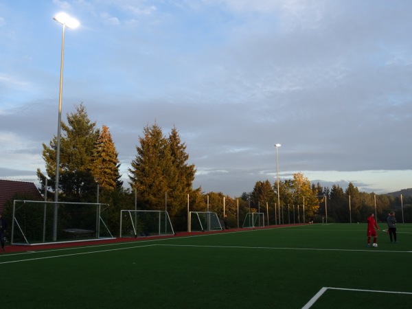 Sportfeld am Turnerheim - Friedersdorf/Spree